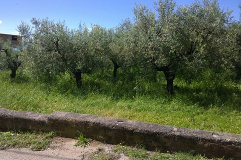 Terra a Eboli, Salerno, Eboli - € 85.000 | Ref: 162 - foto 3