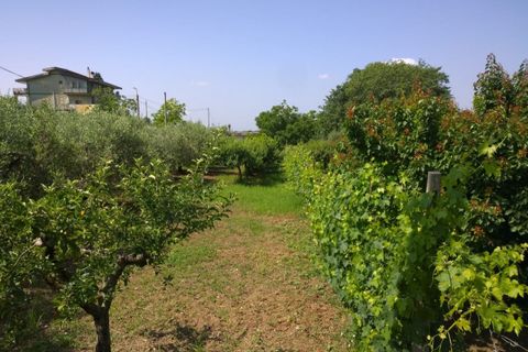 Helårsgrund i Eboli, Salerno, Eboli - € 150.000 | Ref: 273 - foto 2