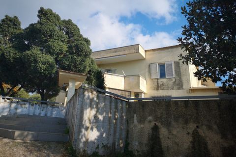 Erhvervsejendom i Eboli, Salerno, Eboli - € 750.000 | Ref: 298 - foto 5