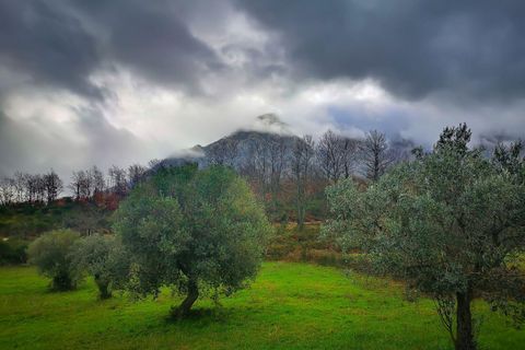 Leilighet i Postiglione, Salerno, Postiglione - € 30 000 | Ref: 427 - foto 10