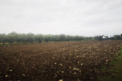 Helårsgrund i Eboli, Salerno, Eboli - € 55.000 | Ref: 442 - foto 3