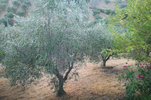 Leilighet i Serre, Salerno, Serre - € 75 000 | Ref: 462 - foto 13