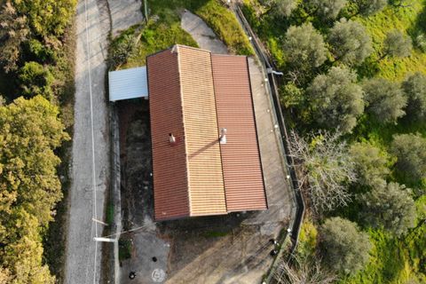Leilighet i Serre, Salerno, Serre - € 75 000 | Ref: 462 - foto 18