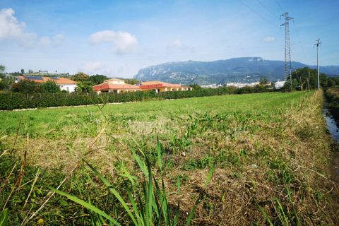 Terra a Eboli, Salerno, Eboli - € 50.000 | Ref: 468 - foto 5