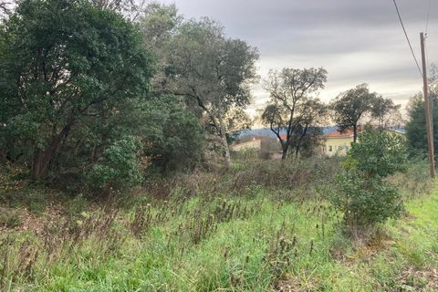 Helårsgrund i Lousa, Coimbra, Lousa - € 35.000 | Ref: 15456 - foto 7