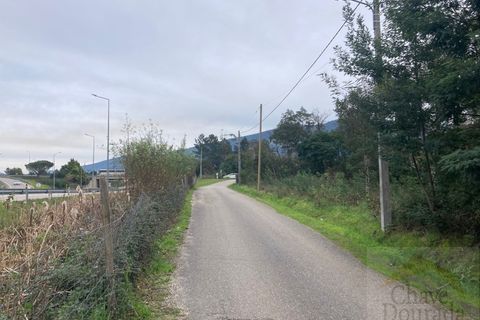 Helårsgrund i Lousa, Coimbra, Lousa - € 35.000 | Ref: 15456 - foto 10