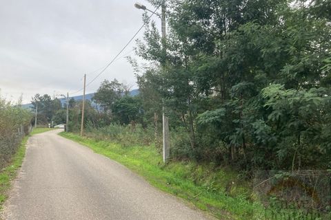 Helårsgrund i Lousa, Coimbra, Lousa - € 35.000 | Ref: 15456 - foto 11
