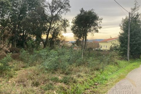 Helårsgrund i Lousa, Coimbra, Lousa - € 35.000 | Ref: 15456 - foto 12