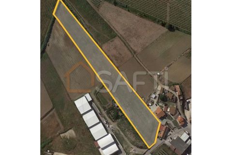 Helårsgrund i Torres Vedras, Lisbon, Torres Vedras - € 132.000 | Ref: SAFTI:004349 - foto 2