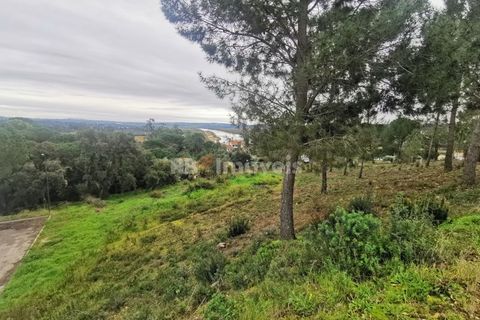 Terra a Constancia, Santarem, Constancia - € 45.000 | Ref: 01130-24 - foto 2