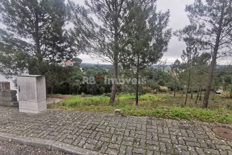 Terra a Constancia, Santarem, Constancia - € 45.000 | Ref: 01130-24 - foto 4