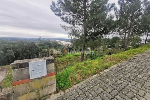 Terra a Constancia, Santarem, Constancia - € 45.000 | Ref: 01130-24 - foto 5