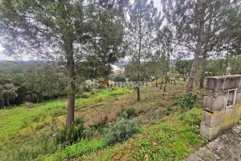 Terra a Constancia, Santarem, Constancia - € 45.000 | Ref: 01130-24 - foto 6