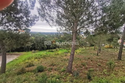 Terra a Constancia, Santarem, Constancia - € 45.000 | Ref: 01130-24 - foto 3