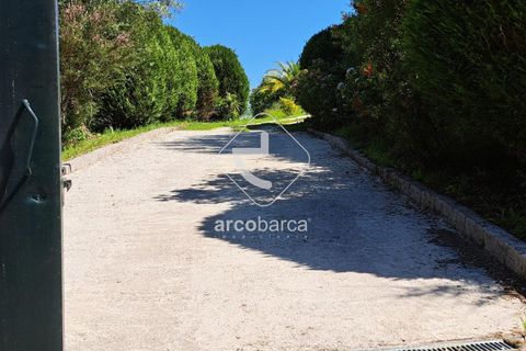 Farm i Ponte da Barca, Viana do Castelo, Ponte da Barca - € 875.000 | Ref: AV5800 - foto 24
