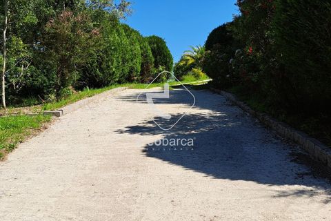 Farm i Ponte da Barca, Viana do Castelo, Ponte da Barca - € 875.000 | Ref: AV5800 - foto 32