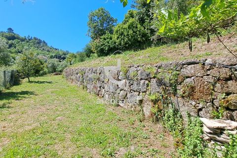 Farm i Ponte da Barca, Viana do Castelo, Ponte da Barca - € 875.000 | Ref: AV5800 - foto 37