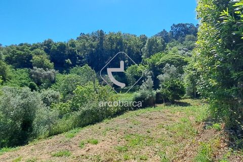 Farm i Ponte da Barca, Viana do Castelo, Ponte da Barca - € 875.000 | Ref: AV5800 - foto 38