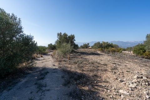 Finca i Bitem, Tarragona, Bitem - € 38.000 | Ref: 12 - foto 29