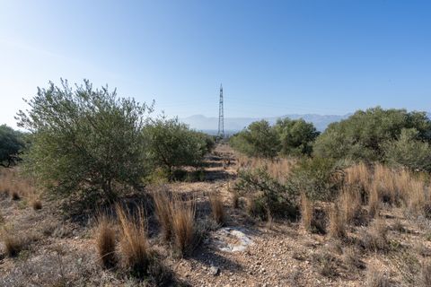 Finca i Bitem, Tarragona, Bitem - € 38.000 | Ref: 12 - foto 22