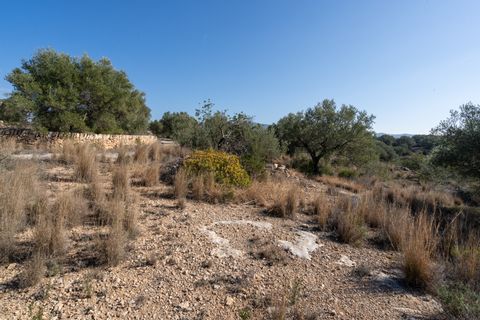 Finca i Bitem, Tarragona, Bitem - € 38.000 | Ref: 12 - foto 24