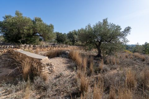Finca i Bitem, Tarragona, Bitem - € 38.000 | Ref: 12 - foto 7