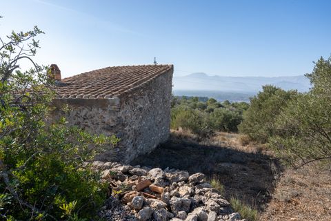 Finca i Bitem, Tarragona, Bitem - € 38.000 | Ref: 12 - foto 10