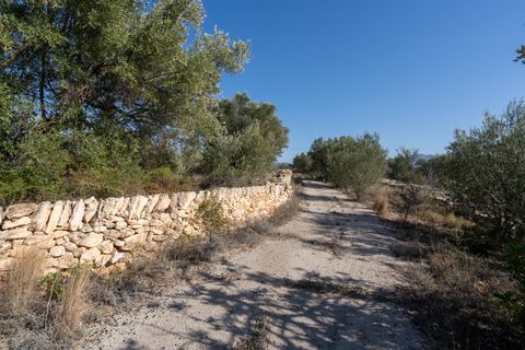 Finca i Bitem, Tarragona, Bitem - € 38.000 | Ref: 12 - foto 25