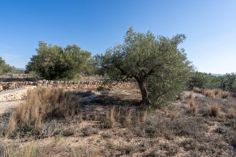 Finca i Bitem, Tarragona, Bitem - € 38.000 | Ref: 12 - foto 12