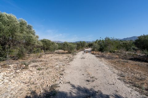 Finca i Bitem, Tarragona, Bitem - € 38.000 | Ref: 12 - foto 27
