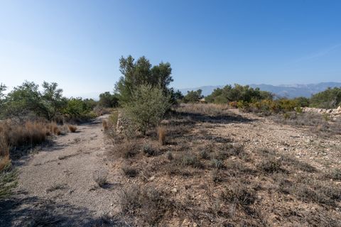 Finca i Bitem, Tarragona, Bitem - € 38.000 | Ref: 12 - foto 28