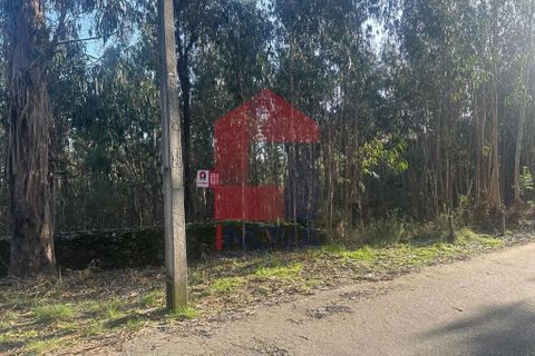 Helårsgrund i Vila Verde, Braga, Vila Verde - € 300.000 | Ref: 08247 - foto 3