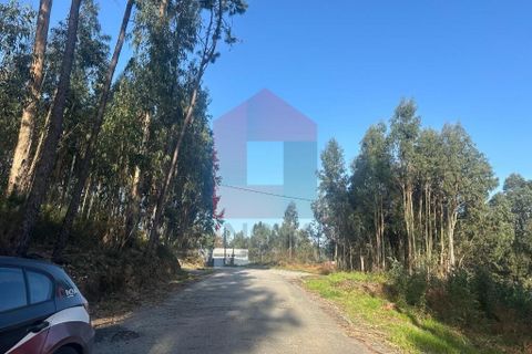 Helårsgrund i Vila Verde, Braga, Vila Verde - € 300.000 | Ref: 08247 - foto 4
