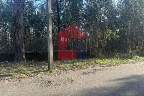 Helårsgrund i Vila Verde, Braga, Vila Verde - € 300.000 | Ref: 08247 - foto 5