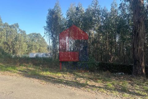 Helårsgrund i Vila Verde, Braga, Vila Verde - € 300.000 | Ref: 08247 - foto 6