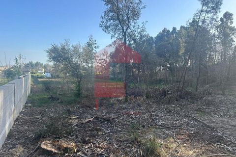 Helårsgrund i Vila Verde, Braga, Vila Verde - € 300.000 | Ref: 08247 - foto 9