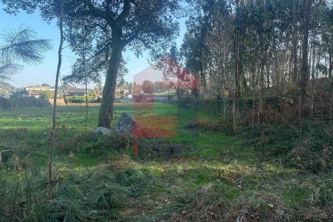 Helårsgrund i Vila Verde, Braga, Vila Verde - € 300.000 | Ref: 08247 - foto 12