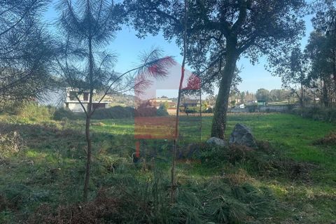 Helårsgrund i Vila Verde, Braga, Vila Verde - € 300.000 | Ref: 08247 - foto 13
