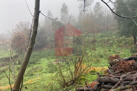 Helårsgrund i Vila Verde, Braga, Vila Verde - € 25.000 | Ref: 08241 - foto 6