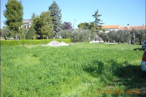 Terra a Castorano, Ascoli Piceno, Castorano - € 90.000 | Ref: 734 - foto 3
