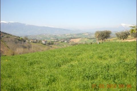 Terra a Castorano, Ascoli Piceno, Castorano - € 90.000 | Ref: 734 - foto 4