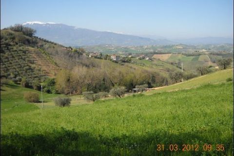 Terra a Castorano, Ascoli Piceno, Castorano - € 90.000 | Ref: 734 - foto 5