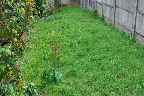 Landsbyhus i Egletons, Correze, Egletons - € 60.500 | Ref: 913V559M-tw - foto 13