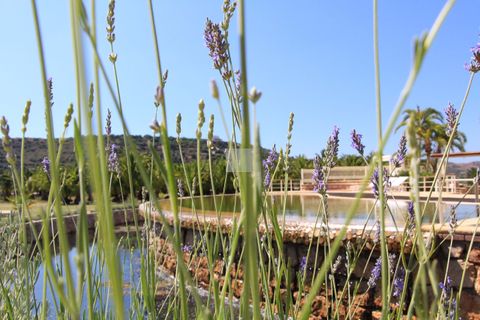 Farm hus i Estombar, Faro, Estombar - € 4.500.000 | Ref: 950 - foto 5