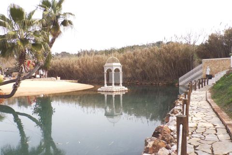 Farm hus i Estombar, Faro, Estombar - € 4.500.000 | Ref: 950 - foto 18
