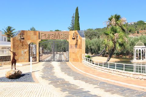 Farm hus i Estombar, Faro, Estombar - € 4.500.000 | Ref: 950 - foto 29