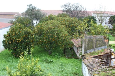Lejlighed i Estremoz, Evora, Estremoz - € 280.000 | Ref: ALT003/008/2024 - foto 4