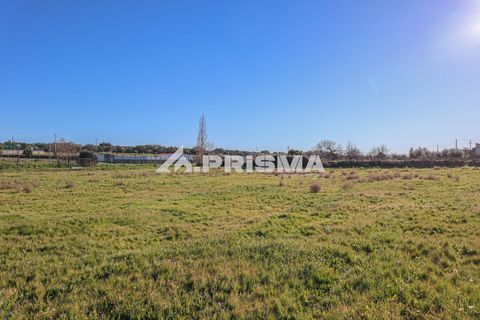Helårsgrund i Castelo Branco, Castelo Branco, Castelo Branco - € 165.000 | Ref: PP4286 - foto 6