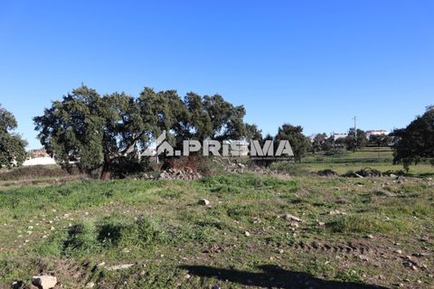 Helårsgrund i Castelo Branco, Castelo Branco, Castelo Branco - € 165.000 | Ref: PP4286 - foto 3
