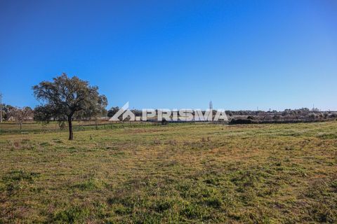 Helårsgrund i Castelo Branco, Castelo Branco, Castelo Branco - € 165.000 | Ref: PP4286 - foto 7